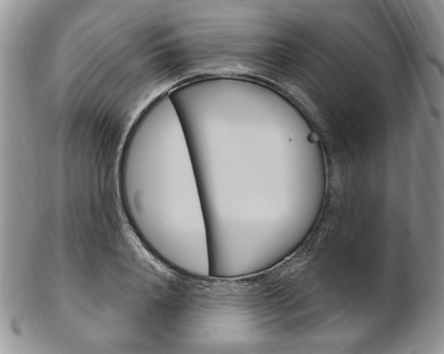 X0000103170840200808221126