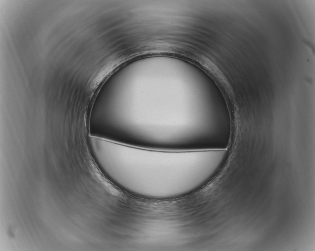X0000103170842200808221126