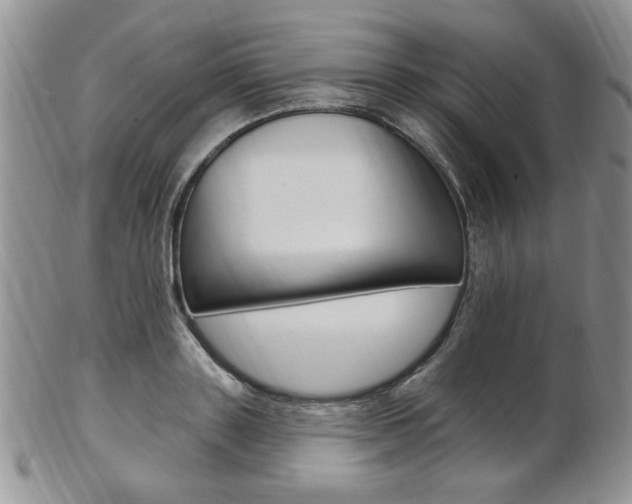 X0000103170843200808221126