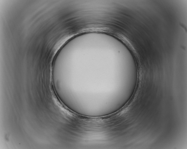 X0000103170844200808221126