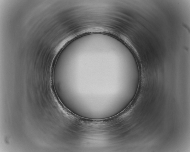 X0000103170845200808221126