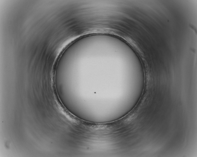 X0000103170846200808221126