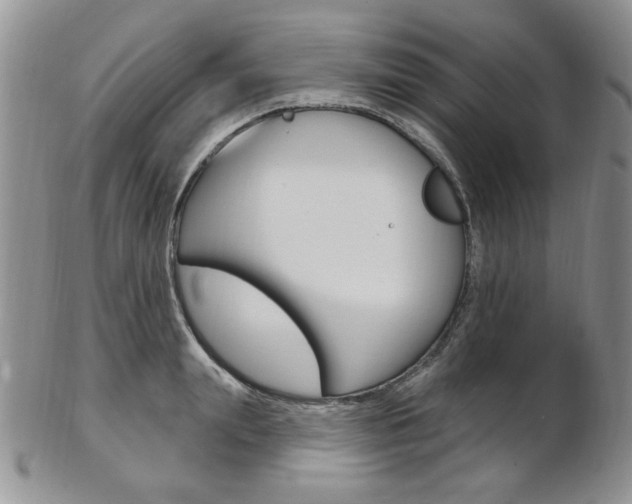 X0000103170847200808221126
