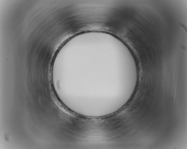 X0000103170848200808221126