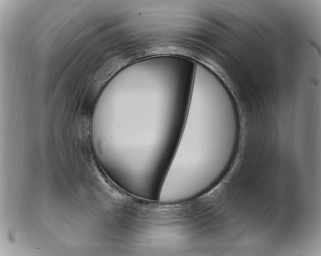 X0000103170849200808221126
