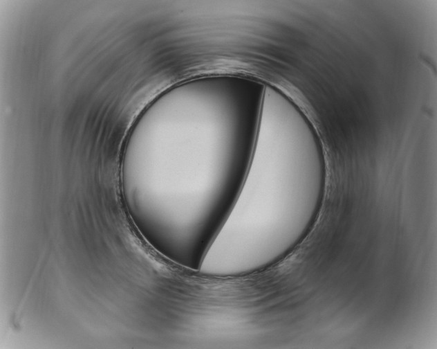 X0000103170850200808221126