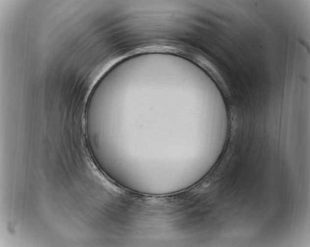 X0000103170852200808221126