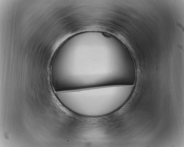 X0000103170854200808221126