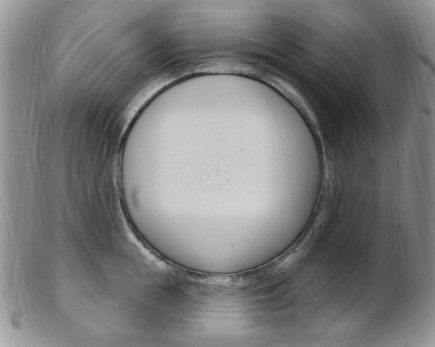X0000103170855200808221126