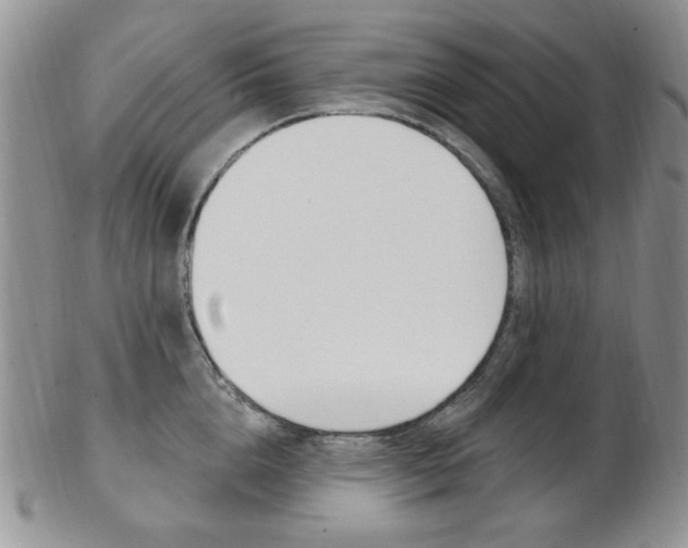 X0000103170856200808221126