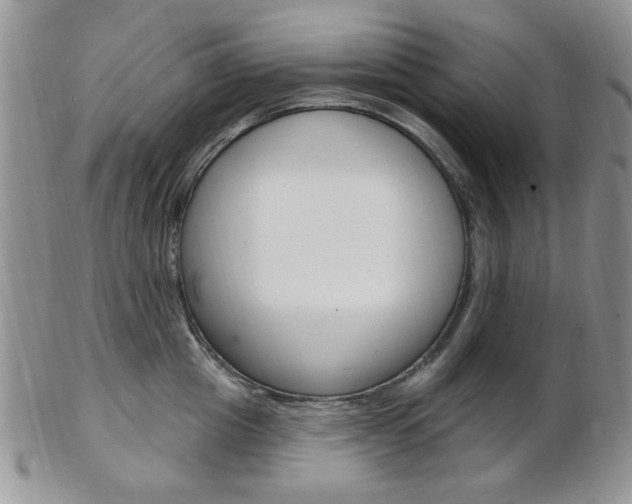 X0000103170857200808221126