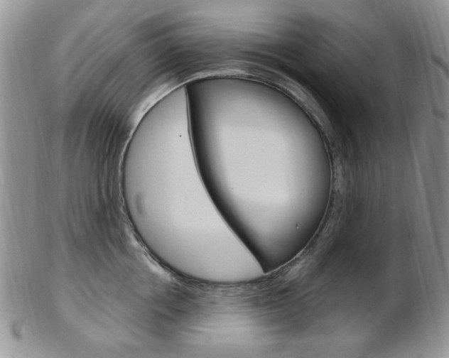 X0000103170858200808221126