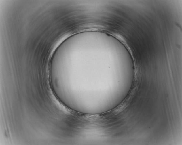 X0000103170859200808221126