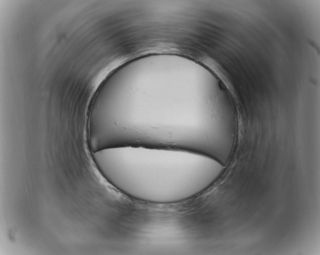 X0000103170861200808221126