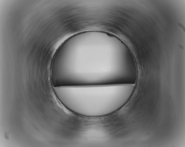 X0000103170862200808221126