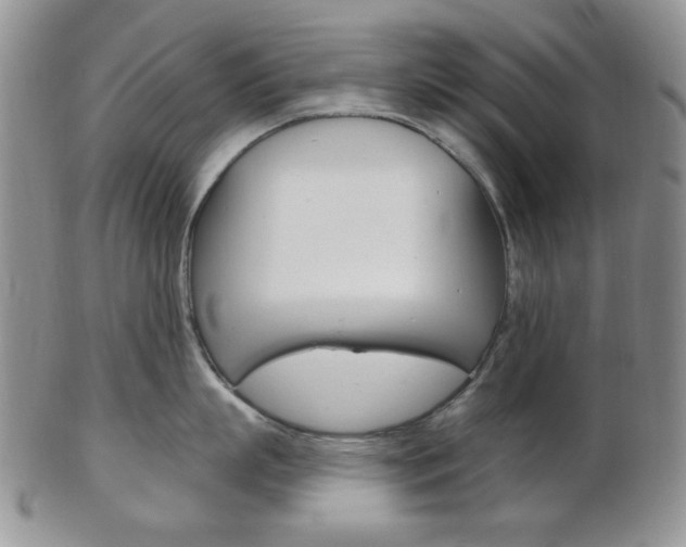 X0000103170863200808221127