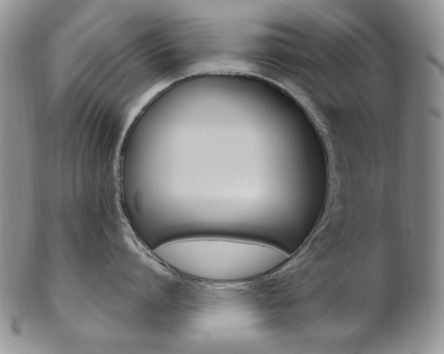 X0000103170864200808221127