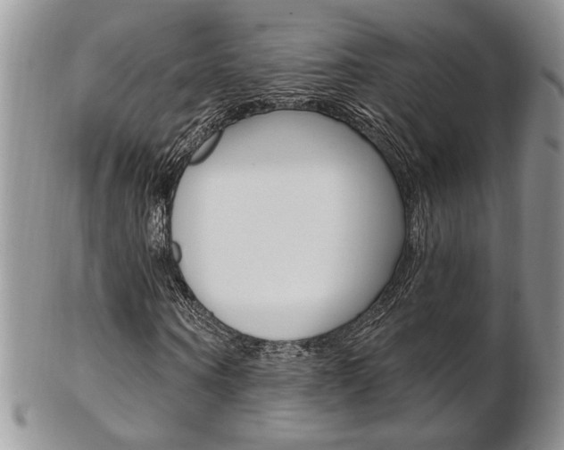 X0000103170866200808221126