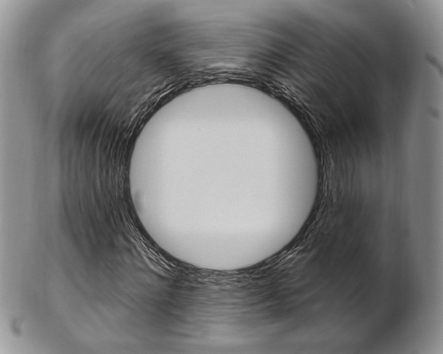 X0000103170868200808221126