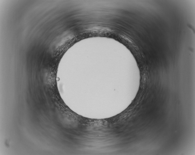 X0000103170869200808221126