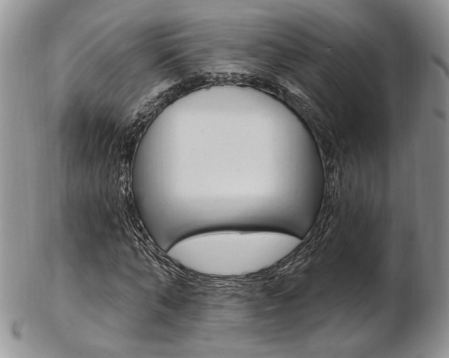 X0000103170870200808221126