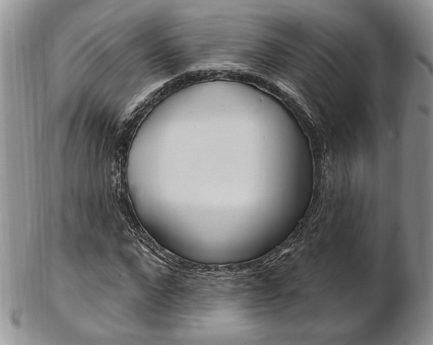 X0000103170872200808221126