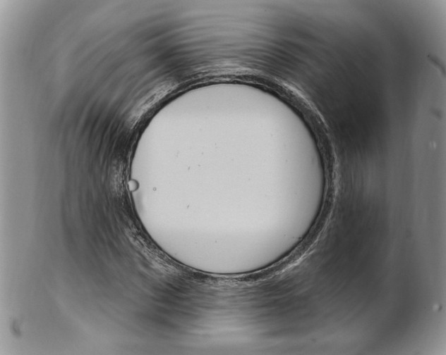 X0000103170873200808221126