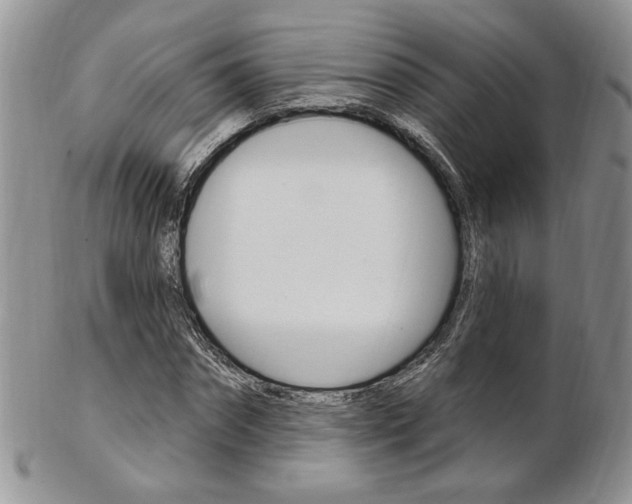 X0000103170874200808221126