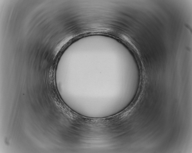 X0000103170875200808221126