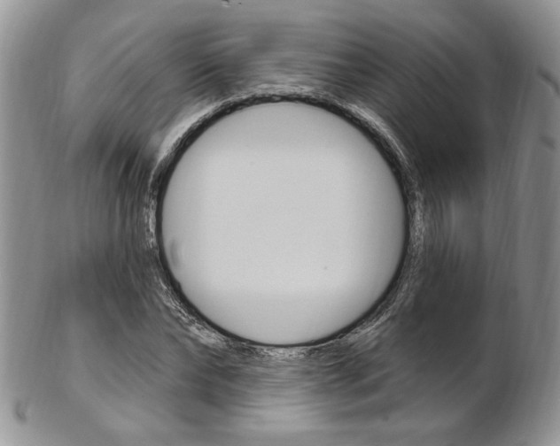 X0000103170878200808221126