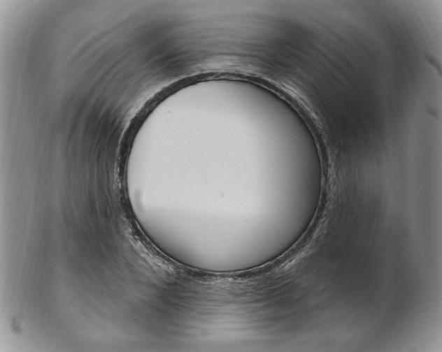 X0000103170880200808221125