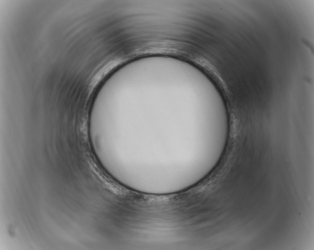 X0000103170882200808221125