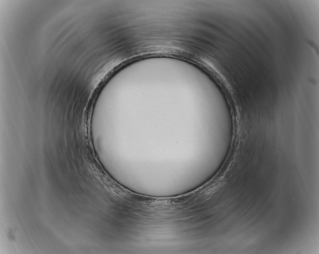 X0000103170883200808221125