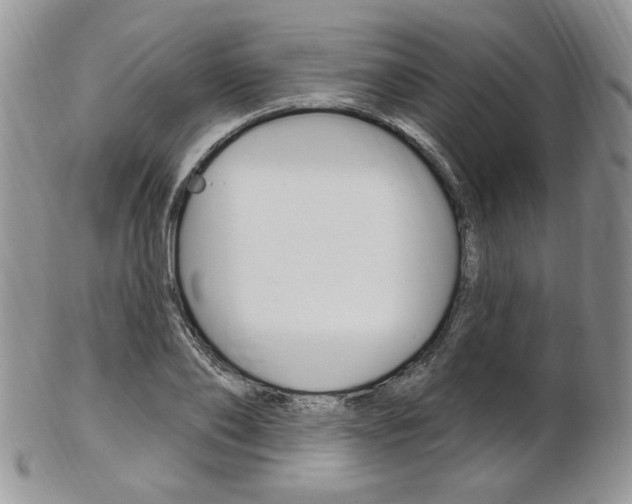 X0000103170886200808221125
