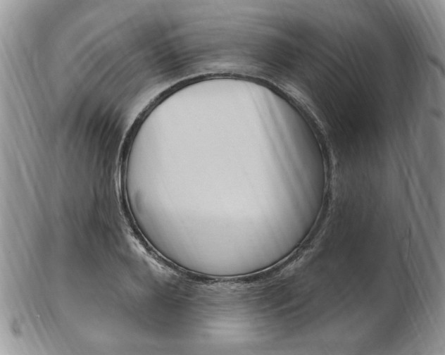 X0000103170888200808221125