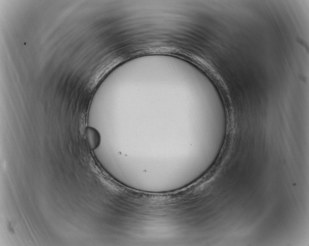 X0000103170889200808221125