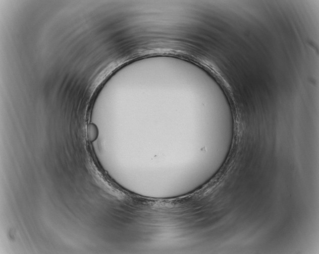 X0000103170890200808221125
