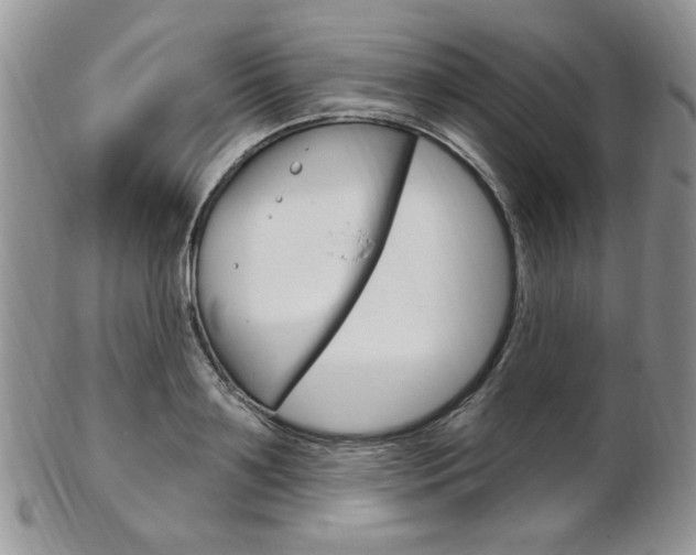 X0000103170891200808221125