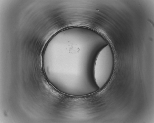 X0000103170892200808221125