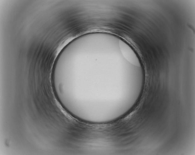 X0000103170893200808221125