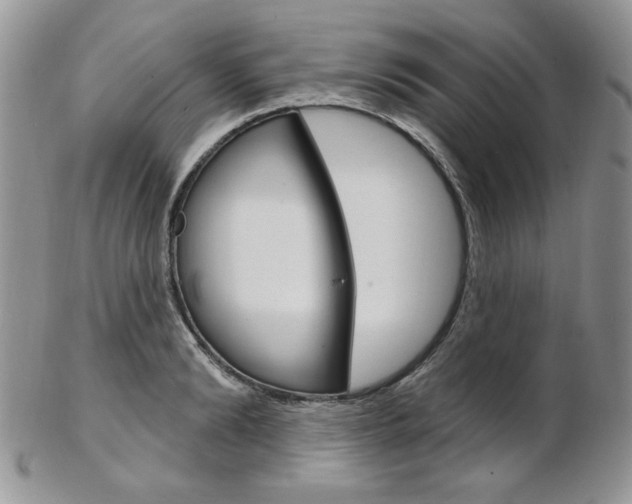 X0000103170894200808221125
