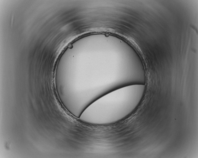 X0000103170895200808221125