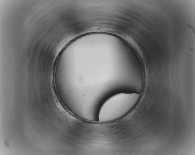 X0000103170896200808221125