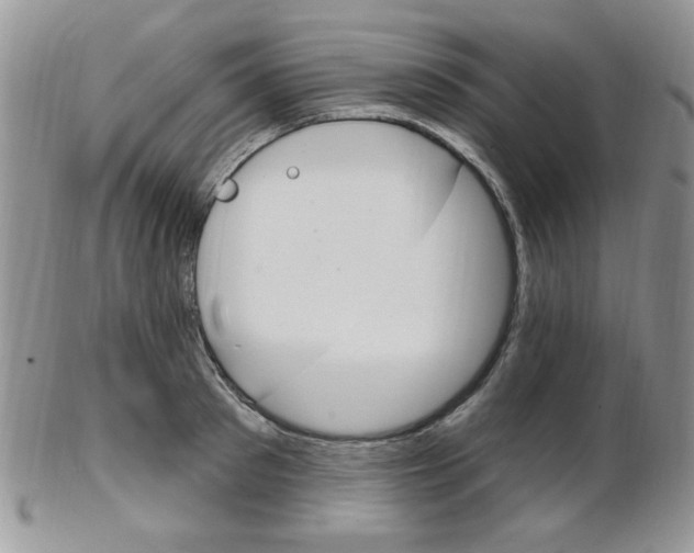 X0000103170897200808221125