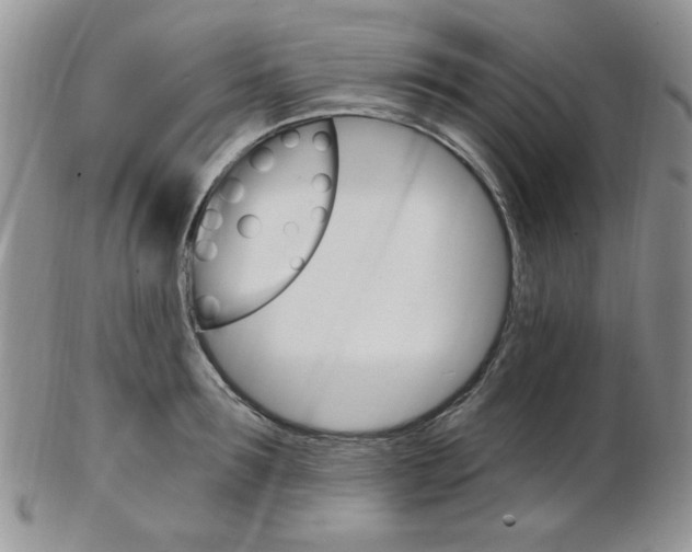 X0000103170899200808221125