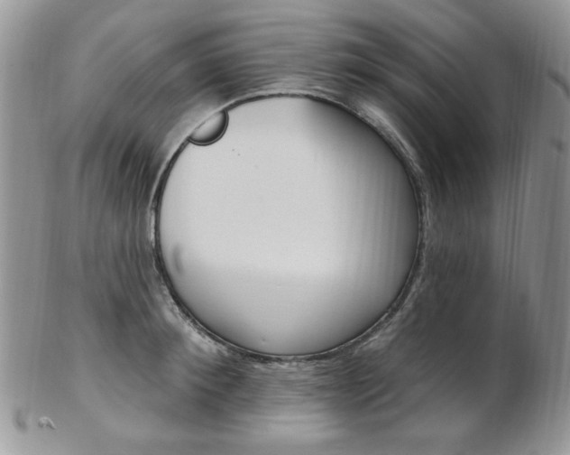 X0000103170900200808221125