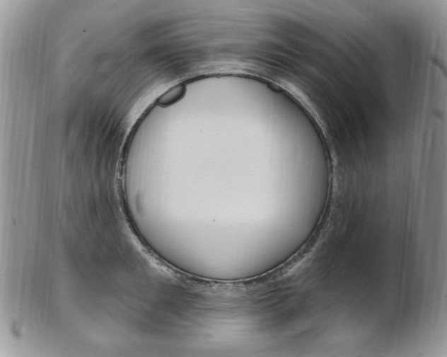 X0000103170901200808221125