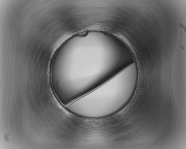 X0000103170902200808221125