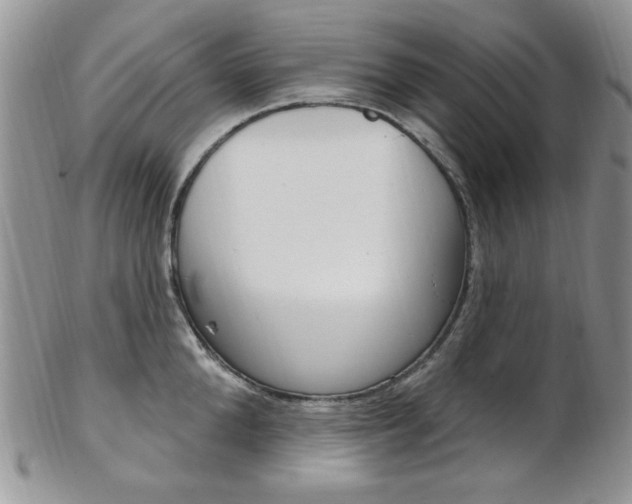 X0000103170904200808221125