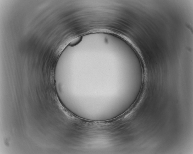 X0000103170905200808221125